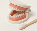 Montessori Brushing Teeth