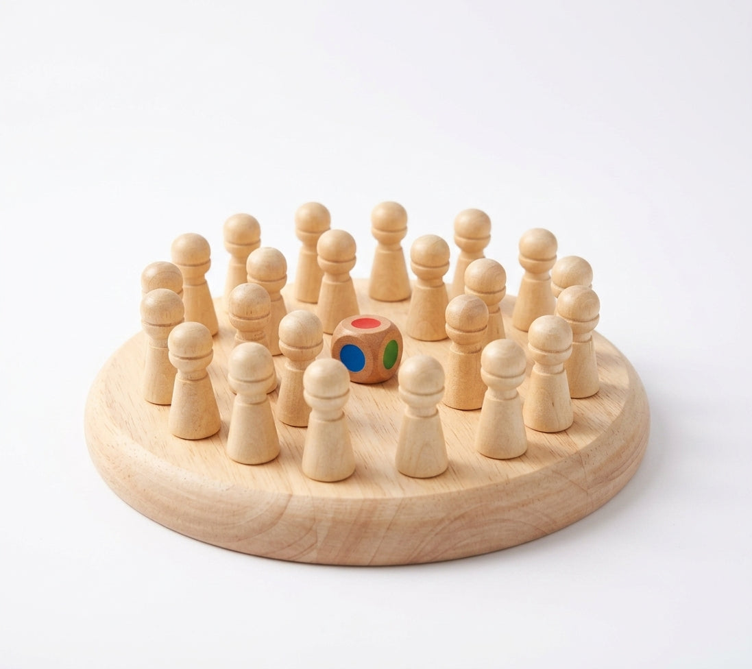 Montessori Memory Match