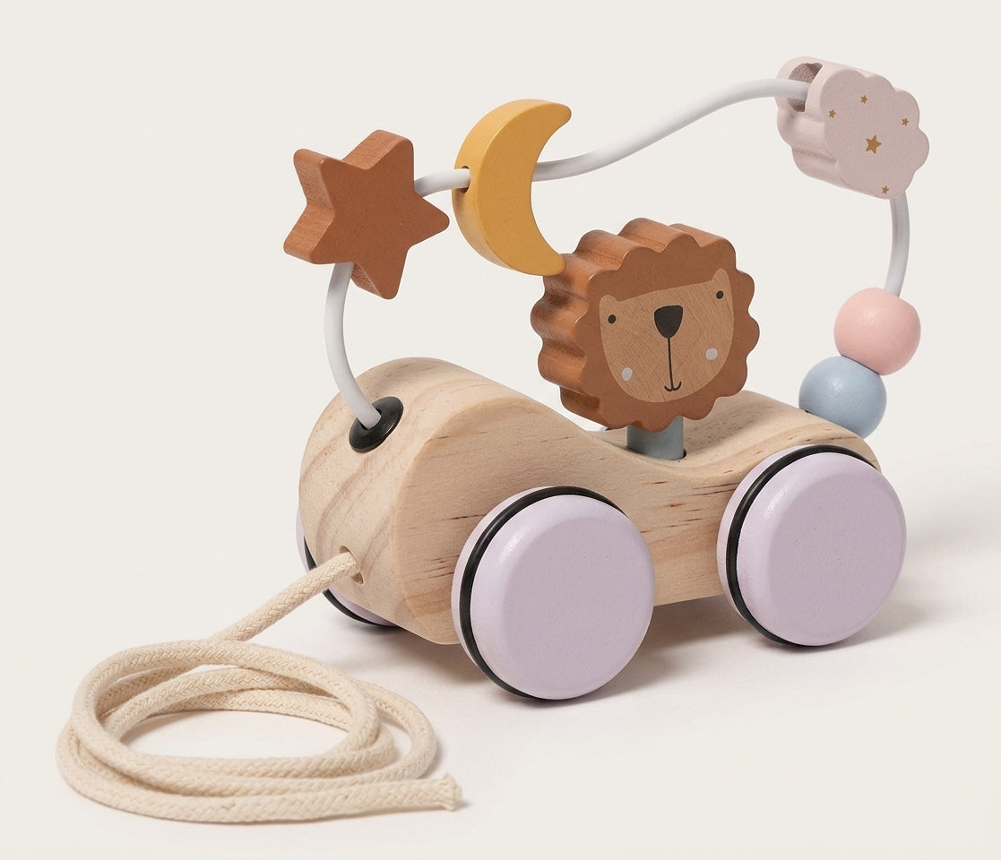 Montessori Roaring Roller