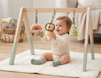 Montessori Play Gym